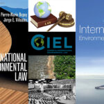 What Is International Environmental Low