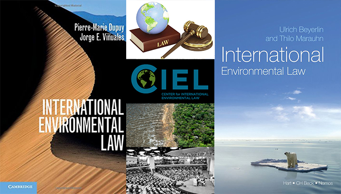 What Is International Environmental Low