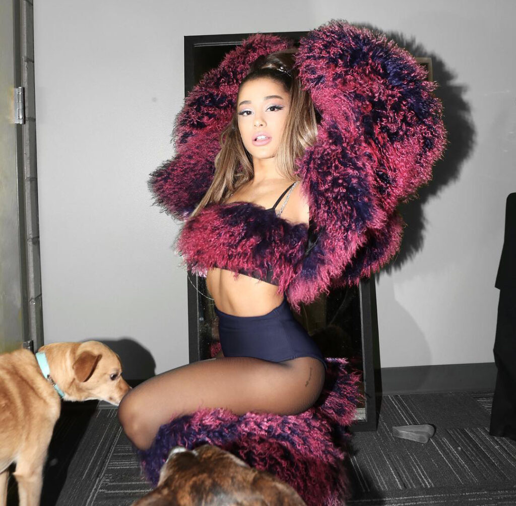 arianagrande 53402140 2244421882246501 7419389222113825682 n