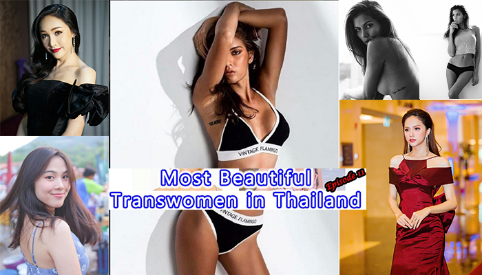 Most Beautiful Transgenders in Thailand