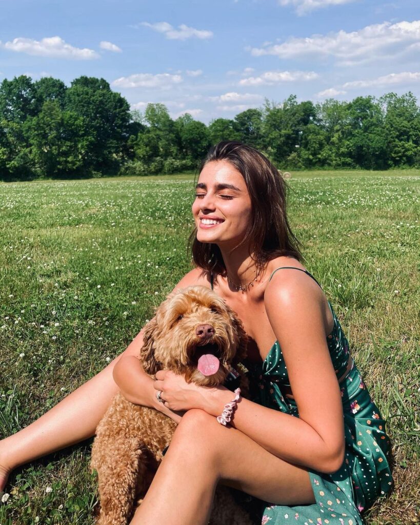 taylor hill 189686788 482607383008931 3667573966588865710 n