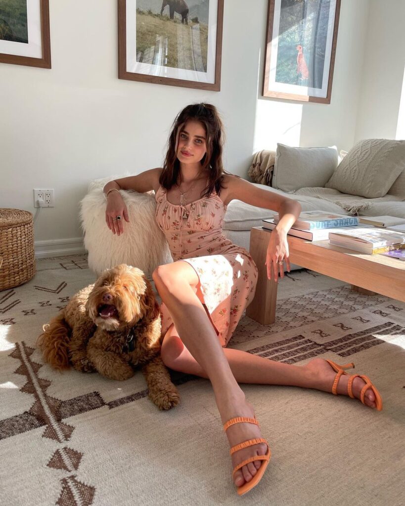 taylor hill 277854933 3102149023332069 4293633939648722948 n Copy