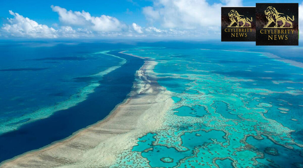 France UNESCO Great Barrier Reef 94724 6f8b0