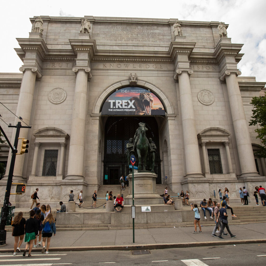 30amnh item mediumSquareAt3X