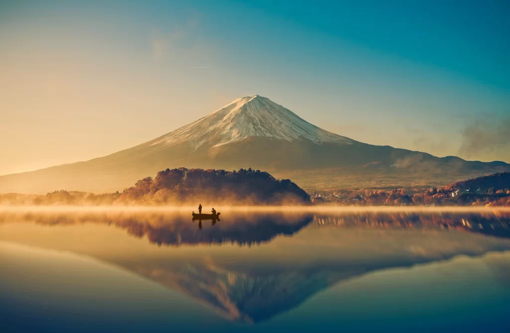zhi5cd01p7wgj7gjtizf3oh8apdu 1616592423 shutterstock 312911786