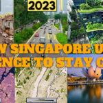 How Singapore Uses Science to Stay Cool