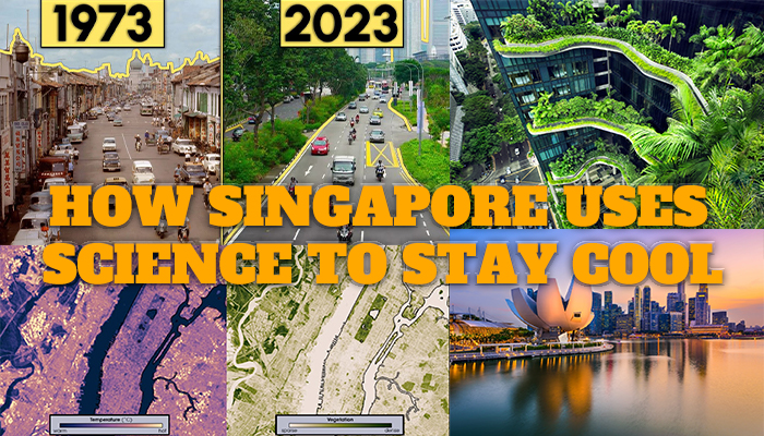 How Singapore Uses Science to Stay Cool