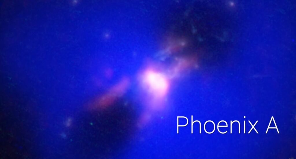 Phoenix A 1
