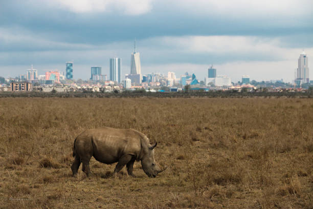 most beautiful cities in africa